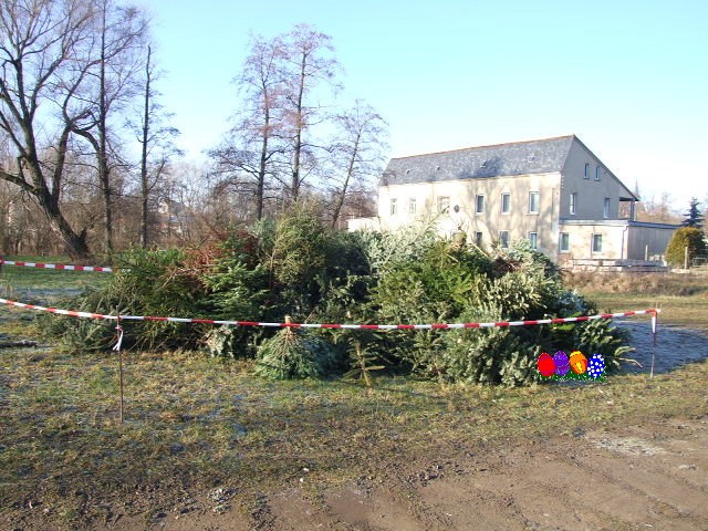 Weihnachtsbaumverbrennen – 11.01.2008 Weihnachtsbaumverbrennen – 11.01.2008