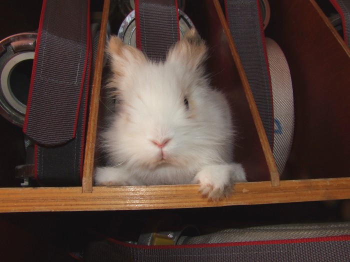 2011 Ostern 2011 Ostern