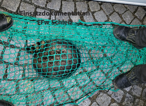 Feuerwehr fasst bei Amtshilfe für die Polizei einen Maskierten Feuerwehr fasst bei Amtshilfe für die Polizei einen Maskierten