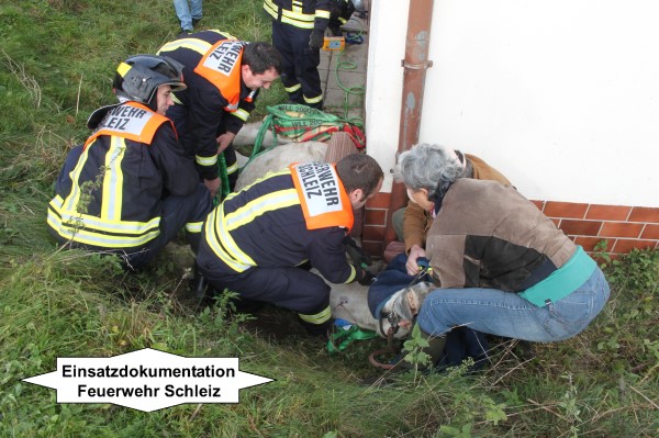 Hilfe 12.10.2015 Hilfe 12.10.2015