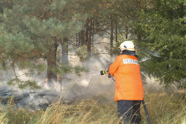 Feld-/Waldbrand am 10.08.2004 Feld-/Waldbrand am 10.08.2004
